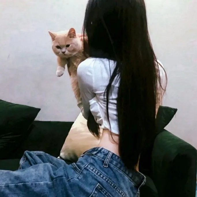 乳房与月亮
